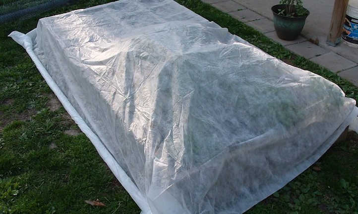 Cobertor de hileras flotante en plantas sin marco