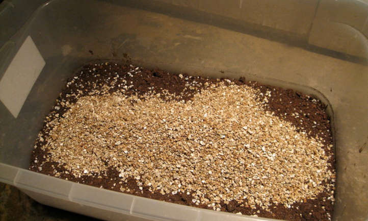 Mezclar vermiculita en el suelo