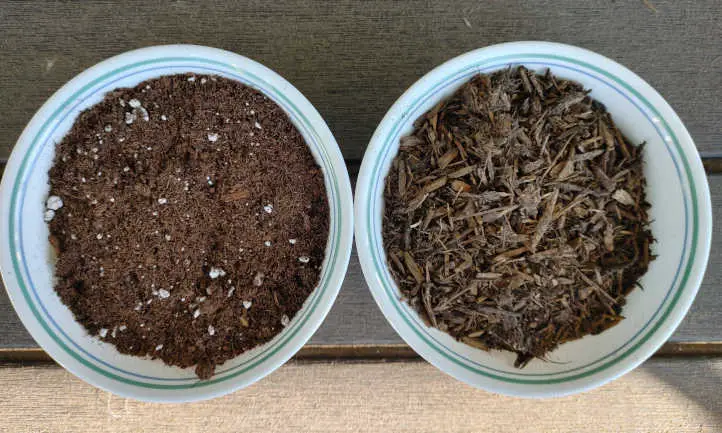 Arrancador de semillas Espoma vs cama elevada Kellogg