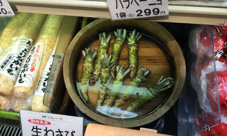 raíces de wasabi