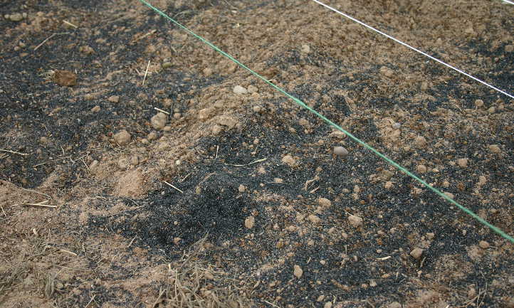 Biocarbón esparcido en el suelo