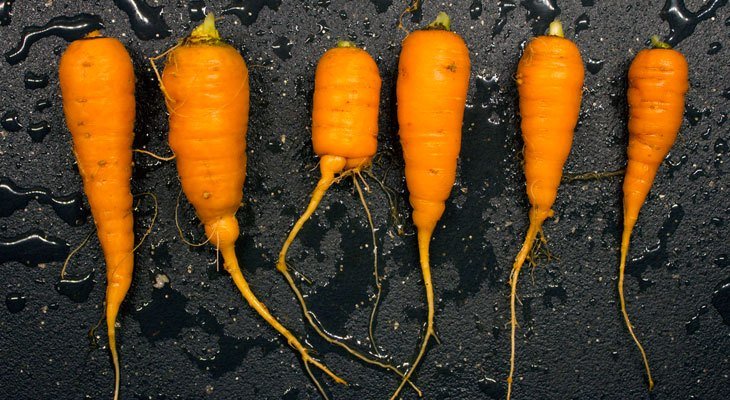Conservar Zanahorias
