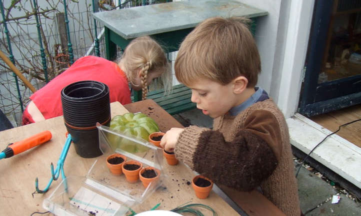 Niños iniciando semillas
