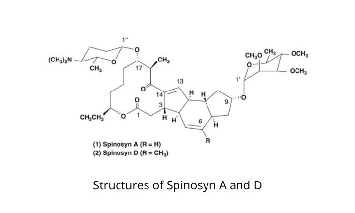 Estructuras de Spinosyn A y D