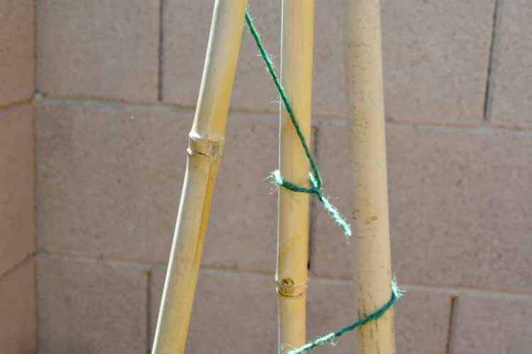 Espiral de tomate de bambú y hilo de bricolaje