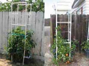 Jaulas de tomate de PVC para jardines de contenedores de autorriego