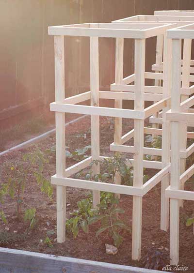 La jaula de madera para tomates