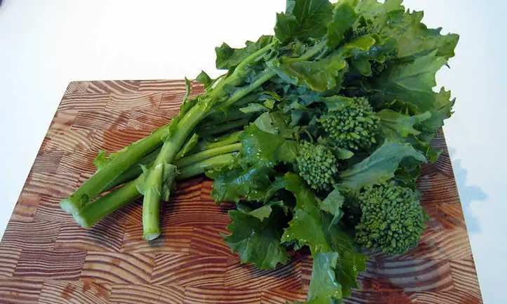 Brócoli rabe
