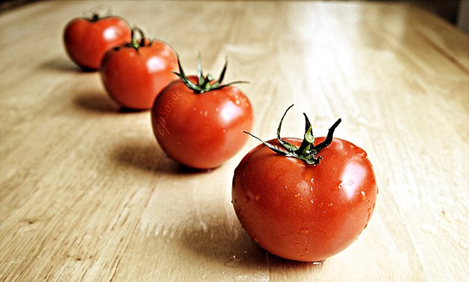 tomates de invernadero