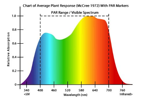 Respuesta de la planta de halogenuros metálicos a los espectros de luz