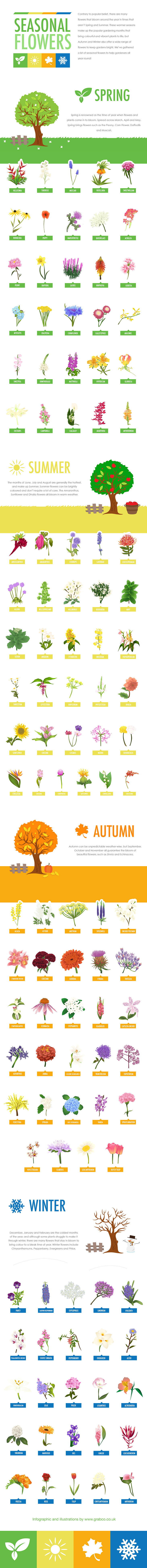 Guía de flores de temporada
