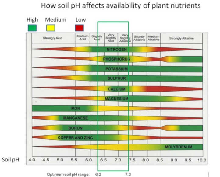 Una referencia visual del pH del suelo y su impacto en los nutrientes de las plantas