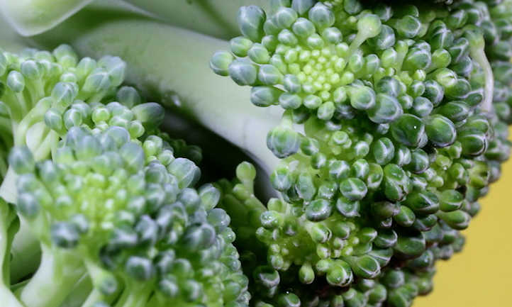 Plantas compañeras de brócoli