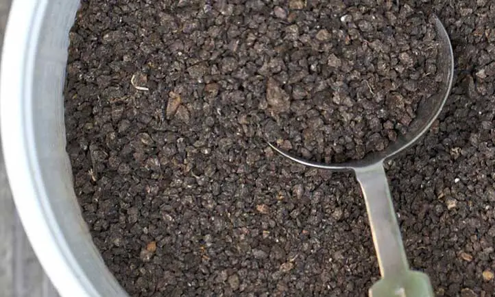 Fertilizante de guano de murciélago listo para una aplicación de mitad de temporada