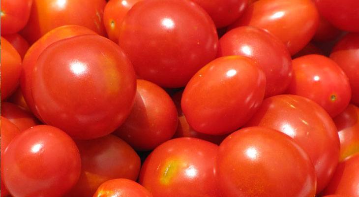 tomates cherry de agosto