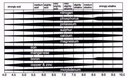 pH y disponibilidad de nutrientes