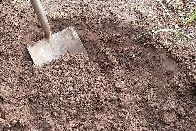 Una pala de jardinería en un agujero parcialmente lleno de tierra marrón, seca y suelta.