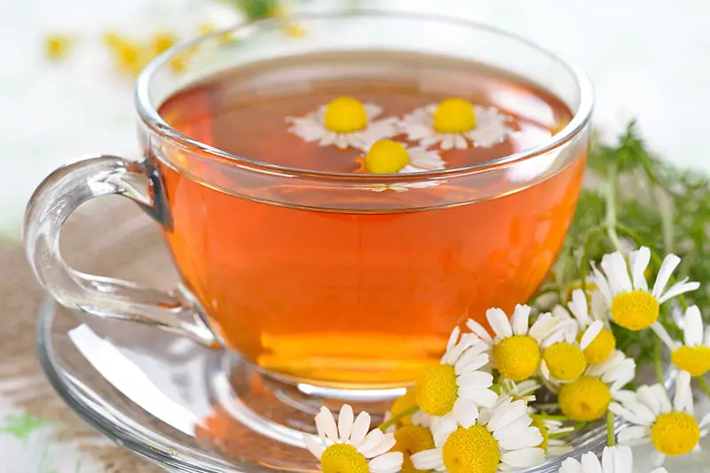 Un primer plano de una taza de té de hierbas con flores blancas esparcidas.