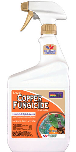 Una imagen vertical de primer plano de una botella de spray de fungicida de cobre Bonide sobre un fondo blanco.