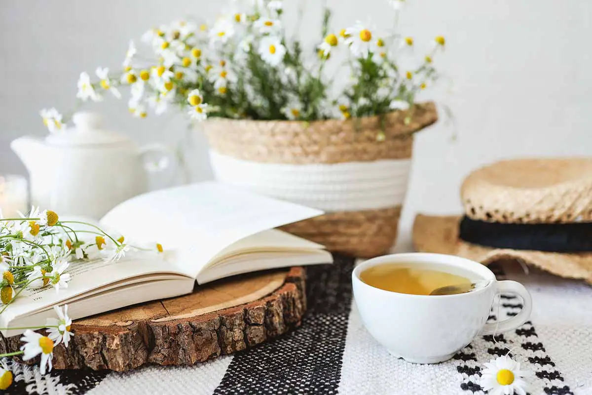 Una imagen horizontal de una escena interior con un libro abierto, flores de manzanilla en una cesta de mimbre y una taza de té sobre una mesa.