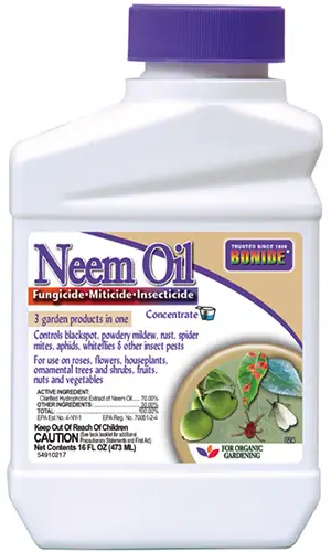 Un primer plano del envase de una botella de aceite de neem para el control de plagas en el jardín.