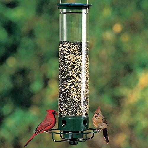 Un primer plano de un alimentador de pájaros de tubo largo y delgado con extremos de metal verde y un anillo cardinal en la parte inferior con un pequeño cardenal rojo posado sobre un fondo blanco.