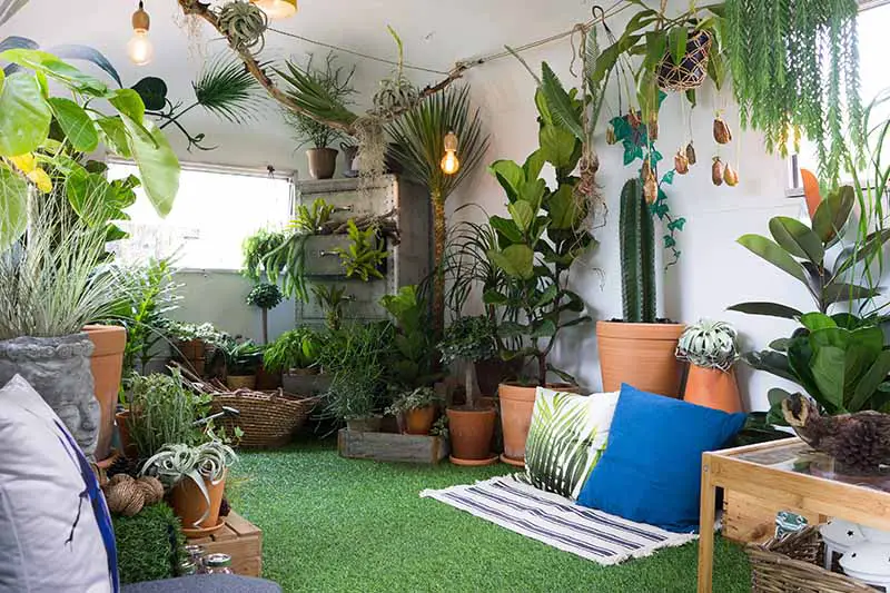 Imagen horizontal de un espacio interior decorado con una gran variedad de plantas de interior, con cojines y colchonetas sobre el césped artificial del suelo.