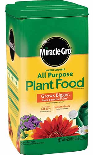Un primer plano del empaque de Miracle-Gro All Purpose Plant Food sobre un fondo blanco.