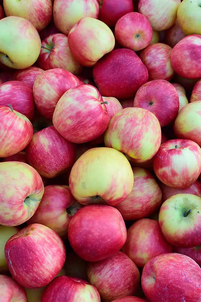 Una pila de manzanas ocupa toda la pantalla con sus brillantes tonos rojos y amarillos mostrando que están maduras y listas para comer.