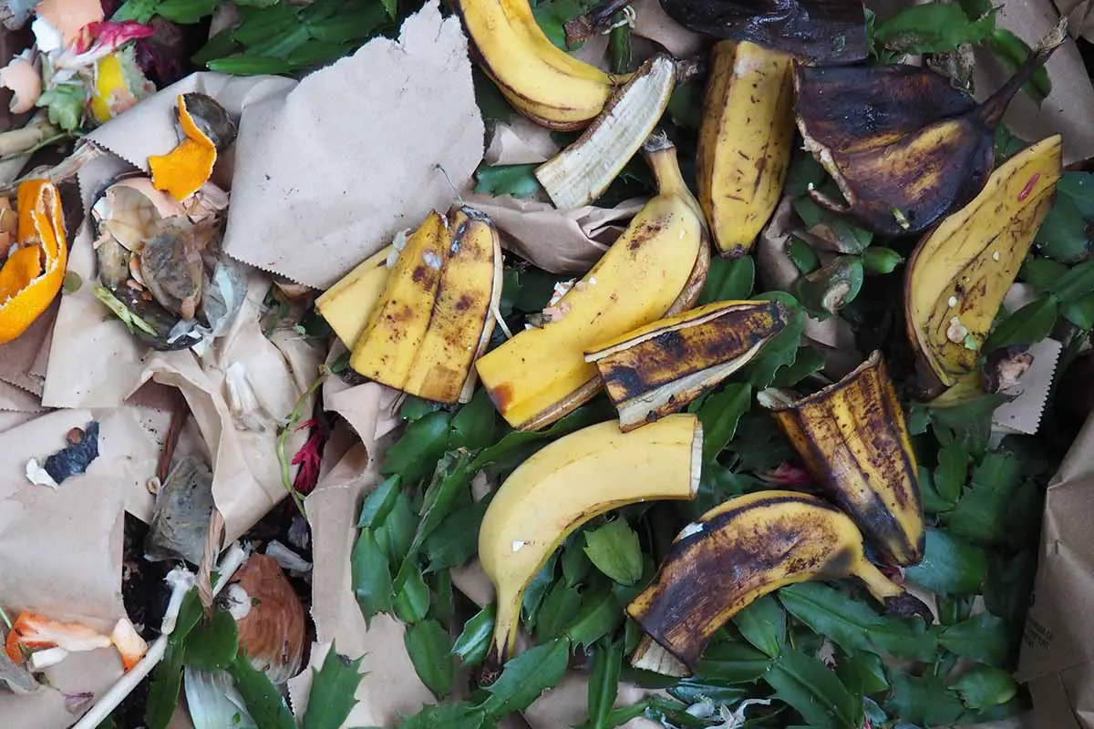 Una imagen horizontal de primer plano de una pila de compost con una selección de restos de comida y materia vegetal.