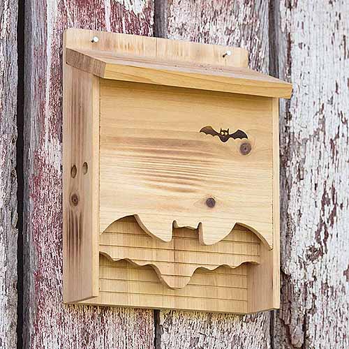 Caja para murciélagos de madera sin terminar con recortes decorativos, montada sobre una cerca de madera con cal descascarillada.