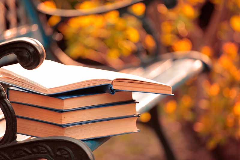 Un primer plano de una pila de libros de tapa dura, con tapas azul marino, el de arriba está abierto, en un banco del parque, en otoño.  El fondo es el banco en colores otoñales de enfoque suave.