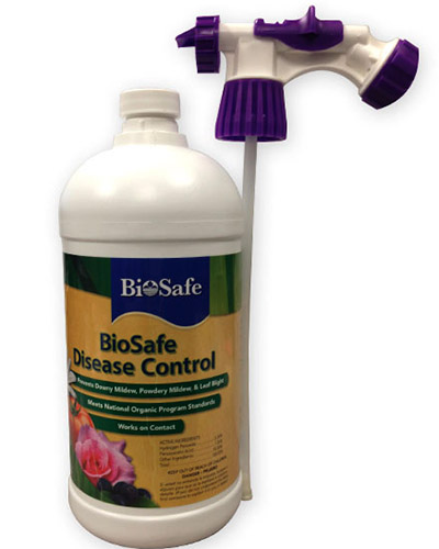 Un primer plano del envase de BioSafe Disease Control listo para rociar la botella sobre un fondo blanco.