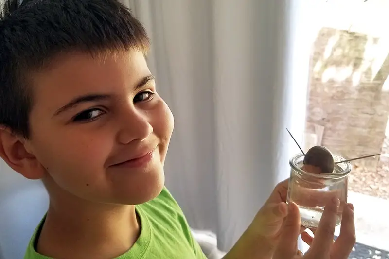 Una imagen horizontal de primer plano de un niño sonriente sosteniendo un pequeño frasco de vidrio que contiene una semilla de aguacate lista para brotar.
