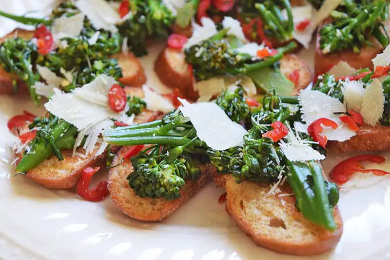 Un primer plano de pequeños trozos de pan francés crujiente cubierto con brócoli rabe, rodajas de chile rojo y virutas de queso parmesano, colocados en un plato de cerámica blanca.