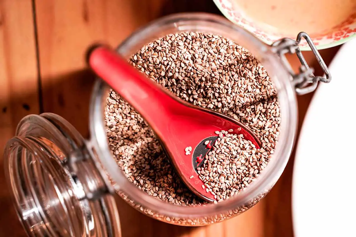 Una imagen horizontal de primer plano de un frasco lleno de semillas de sésamo marrones y una cuchara roja.