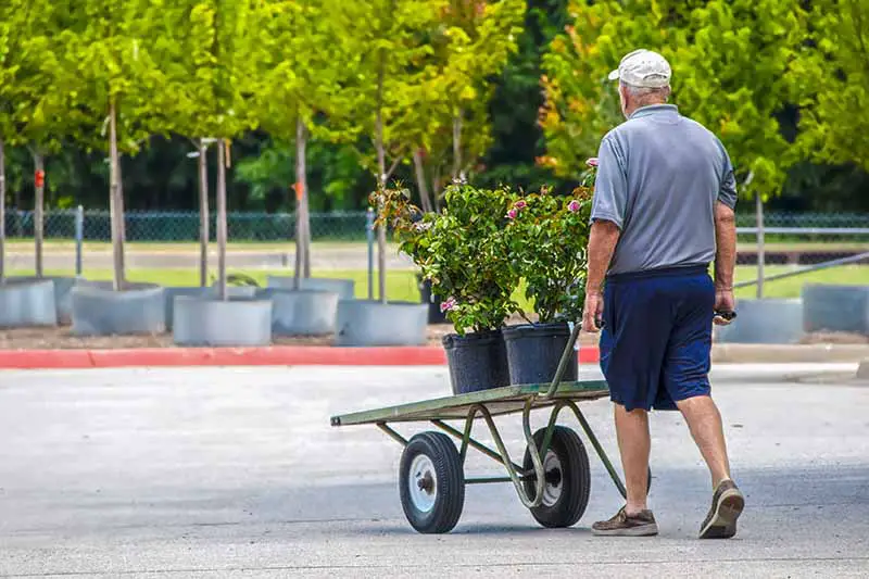 Una imagen horizontal de un hombre empujando un carro con arbustos para comprarlos en un centro de jardinería.