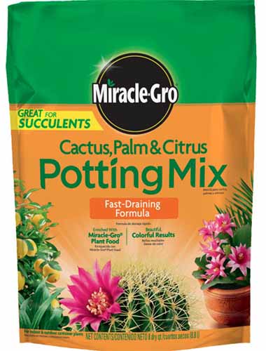 Una imagen vertical de primer plano del empaque de Miracle-Gro Cactus, Palm, and Citrus Potting Mix en un fondo blanco.