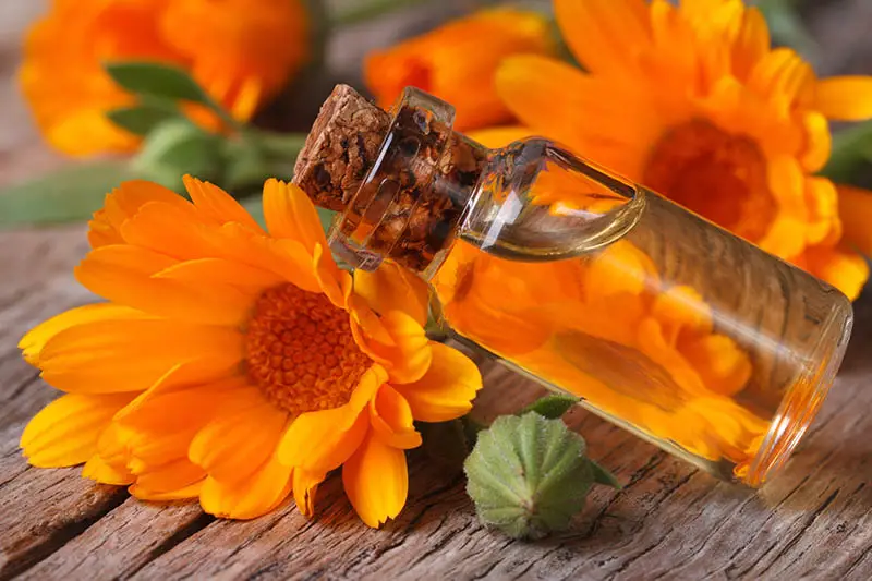 Una imagen horizontal de primer plano de una pequeña botella de aceite de masaje, rodeada de flores, sobre una superficie de madera.