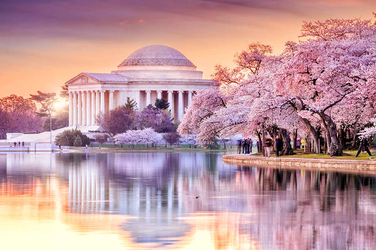 Una imagen horizontal del Jefferson Memorial durante la temporada de los cerezos en flor, fotografiada bajo el sol de la tarde con los árboles y edificios reflejados en el lago.