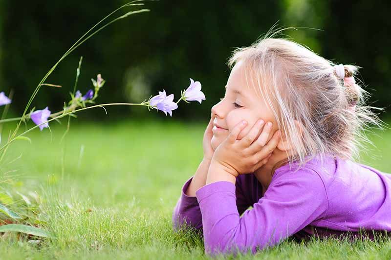 Una imagen horizontal de cerca de una niña tendida en un césped sonriendo a una pequeña flor morada.