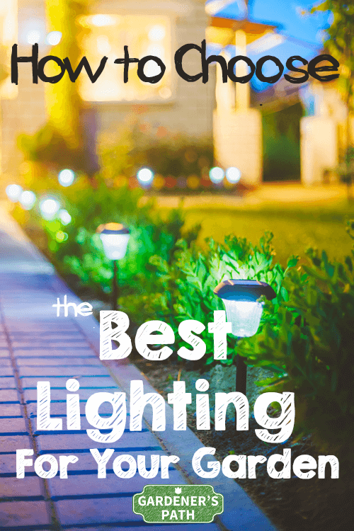 Elija la mejor iluminación para su jardín |  Foodal.com