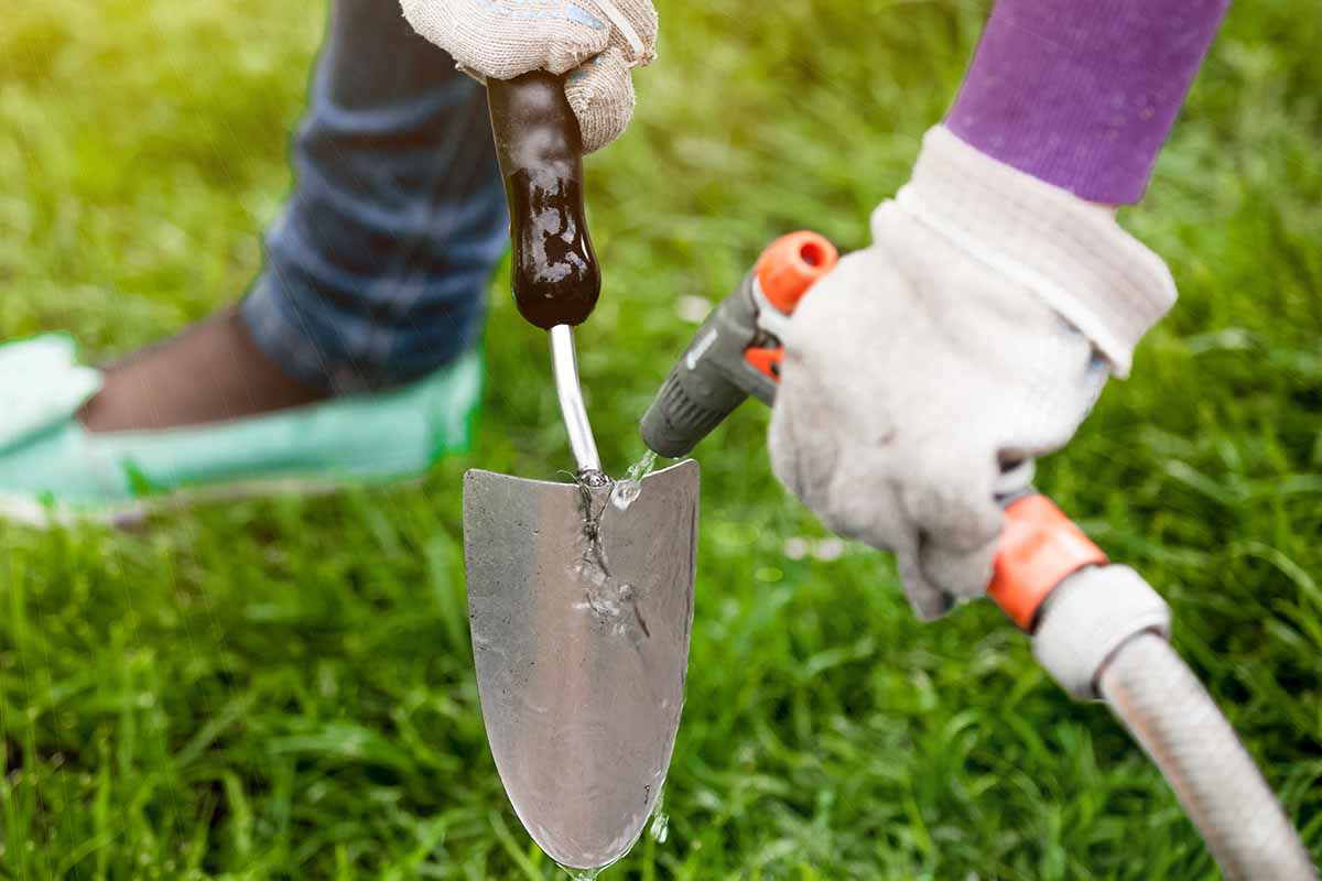 Una imagen horizontal de un jardinero limpiando una paleta con agua de la manguera.