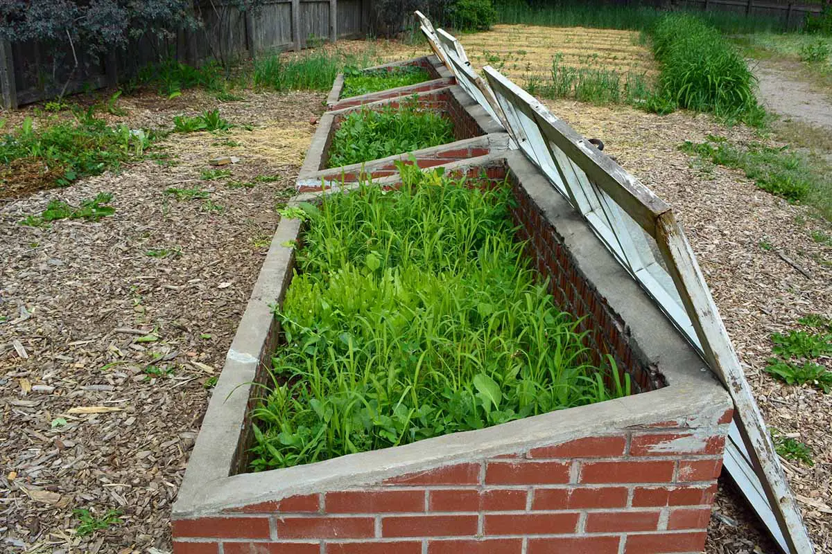 Una imagen horizontal de tres marcos fríos abiertos hechos de ladrillo en el jardín.