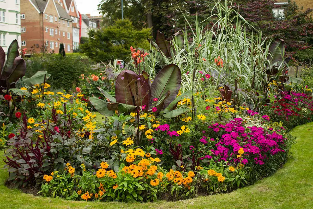 Una imagen horizontal de un colorido macizo de flores plantado con una variedad de plantas anuales y perennes.
