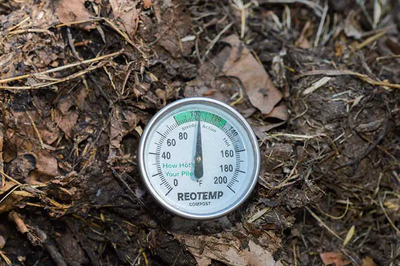 Una imagen horizontal de primer plano de un termómetro en una pila de abono casero que controla la temperatura.
