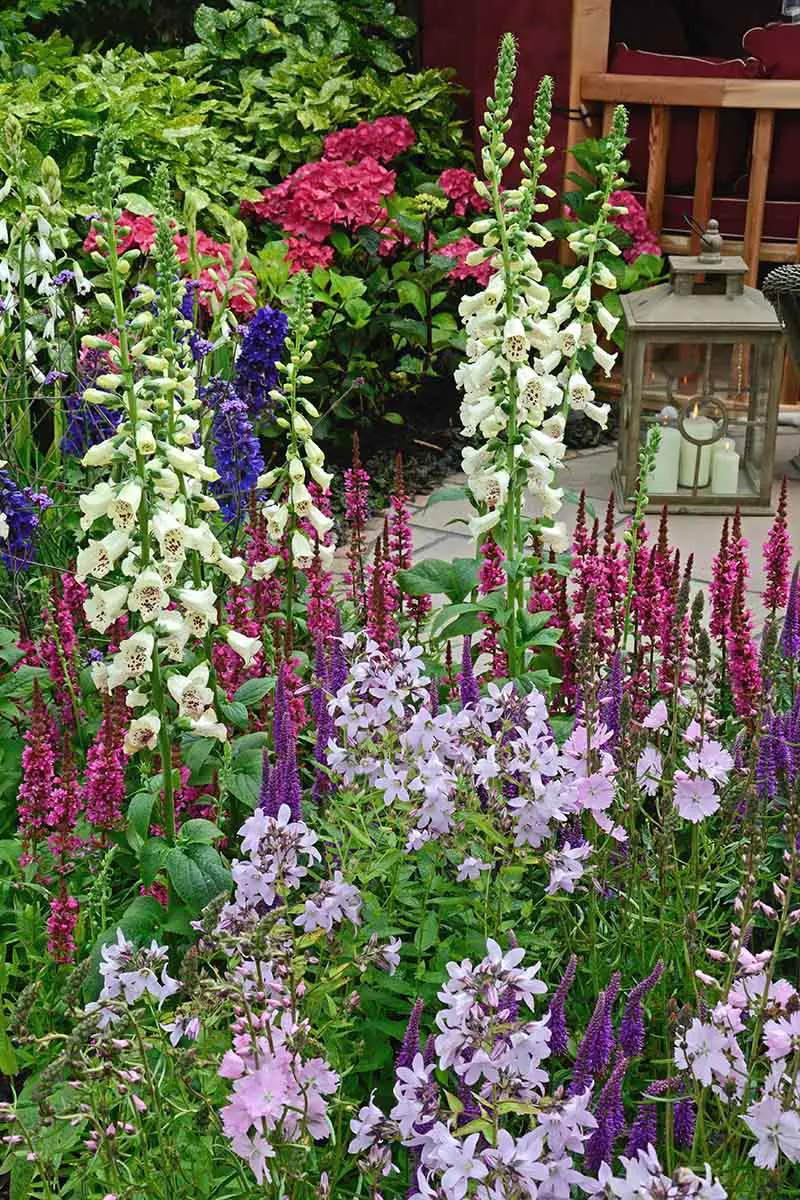 Una imagen vertical de un jardín de flores estilo cabaña con coloridas especies nativas para atraer a los polinizadores.