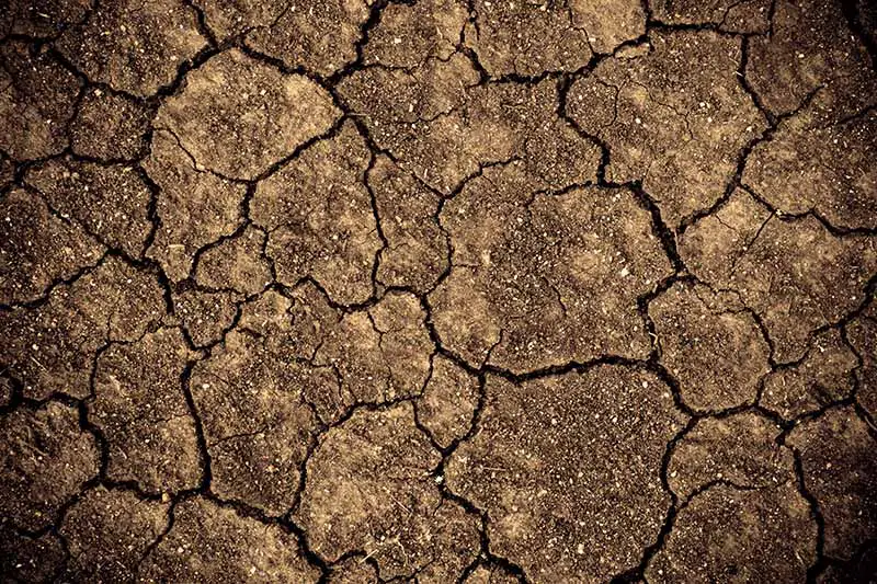 Una imagen horizontal de primer plano de tierra seca y agrietada.