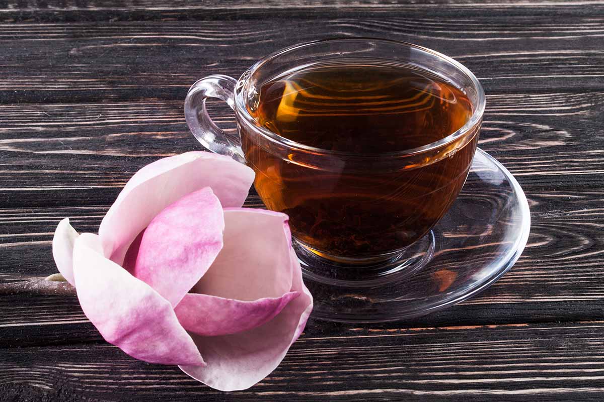 Una imagen horizontal de primer plano de una taza de té negro sobre una superficie de madera con una flor de magnolia rosa.