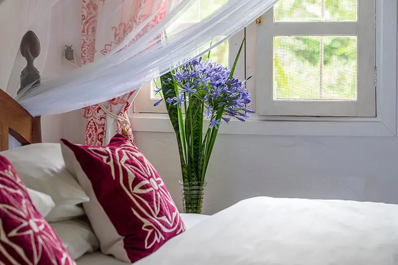Una imagen horizontal de primer plano de un dormitorio con sábanas blancas, cojines de color rojo oscuro y un jarrón con flores cortadas de color azul brillante sobre una mesa auxiliar.  En el fondo hay una ventana con una escena de jardín detrás.